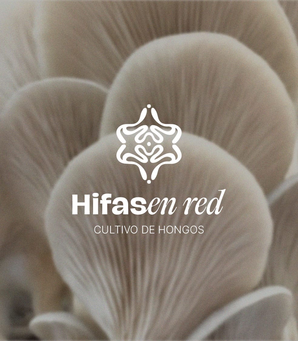 Branding Ilustrado para Hifas en Red