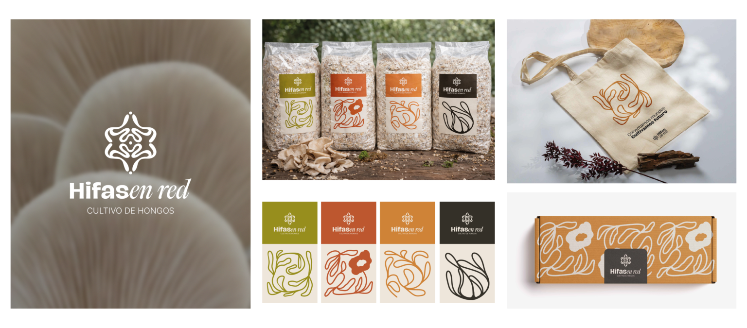 carrousel-proyectos-02